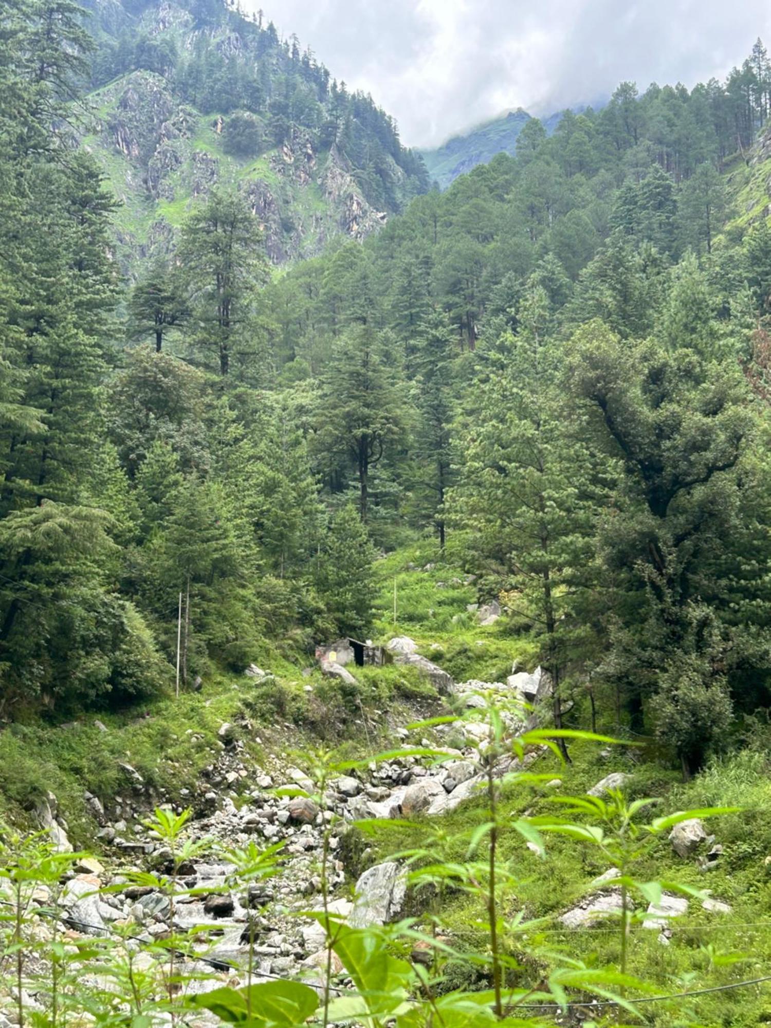 Formosa Hostel & Cafe Kasol Exteriör bild